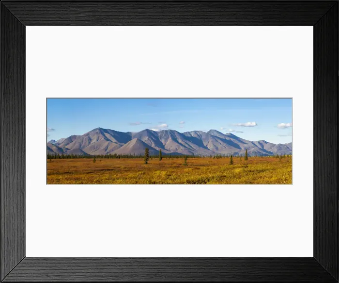 Framed Print : Mountains along Parks Hwy near Cantwell, Denali Borough, Interior Alaska, Alaska, USA Framed Print : Mountains along Parks Hwy near Cantwell, Denali Borough, Interior Alaska, Alaska, USA