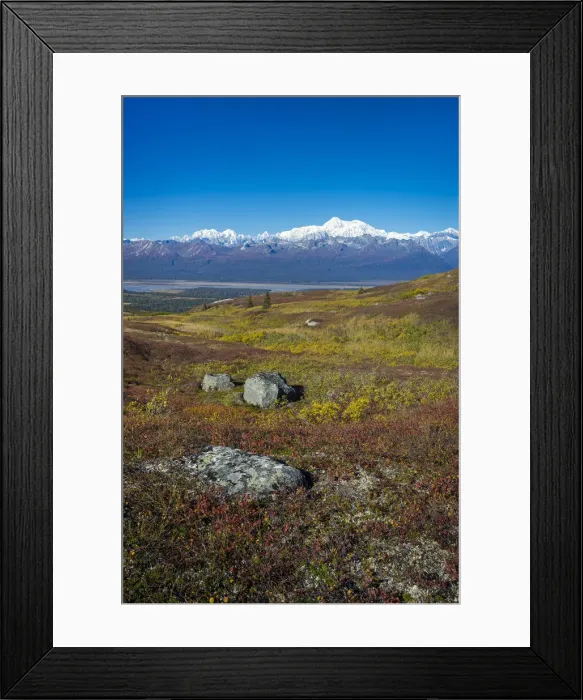 Framed Print : Alaska Range seen from K esugi Ridge Trail, Denali State Park Framed Print : Alaska Range seen from K esugi Ridge Trail, Denali State Park