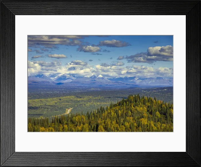 Framed Print : Alaska Range seen from K esugi Ridge Trail, Denali State Park Framed Print : Alaska Range seen from K esugi Ridge Trail, Denali State Park
