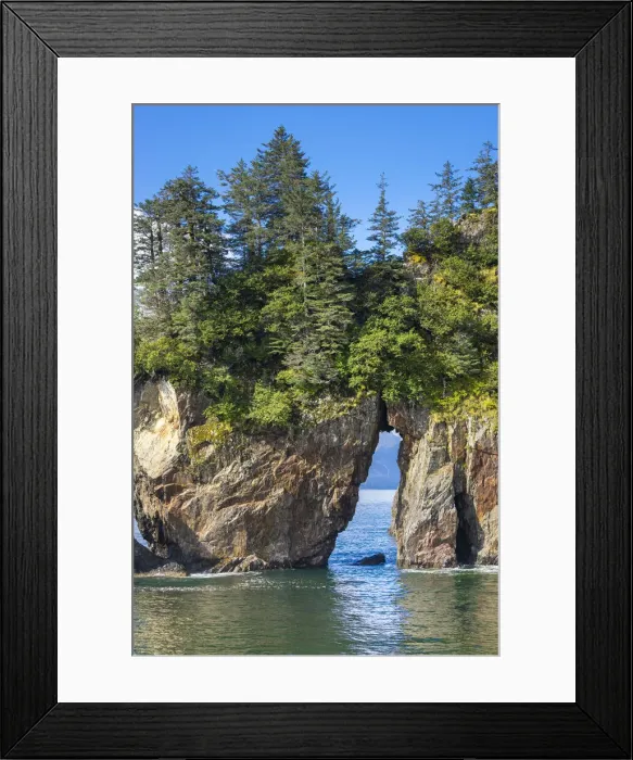 Framed Print : Trees on natural rock arch at Resurrection Bay, Kenai Peninsula Borough Framed Print : Trees on natural rock arch at Resurrection Bay, Kenai Peninsula Borough
