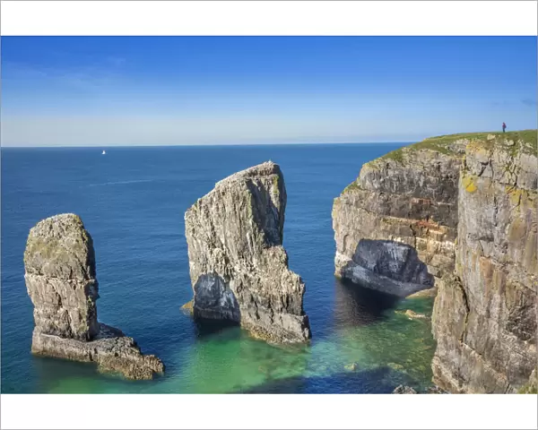 Europe, United Kingdom, Wales, Pembrokeshire, Elegug Stack in Pembrokeshire Coast