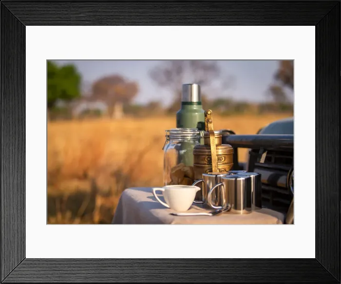 Framed Print : Coffee on safari, Moremi National Park, Okavango Delta, Botswana Framed Print : Coffee on safari, Moremi National Park, Okavango Delta, Botswana