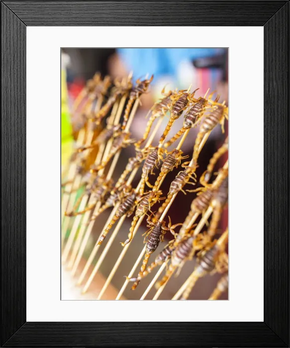 Framed Print : Scorpions on sticks, snack, Beijing, China Framed Print : Scorpions on sticks, snack, Beijing, China