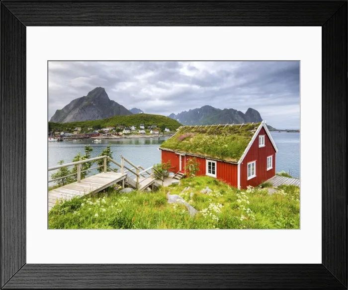 Framed Print : Typical Rorbu surrounded by grass, Nordland county, Lofoten Islands, Northern Norway Framed Print : Typical Rorbu surrounded by grass, Nordland county, Lofoten Islands, Northern Norway