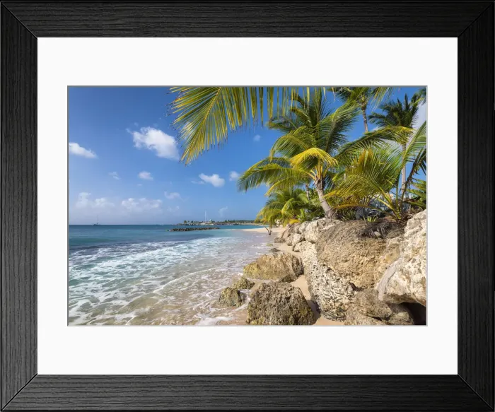 Framed Print : Palm trees and turquoise, Barbados Island, Lesser Antilles, West Indies, Caribbean region Framed Print : Palm trees and turquoise, Barbados Island, Lesser Antilles, West Indies, Caribbean region