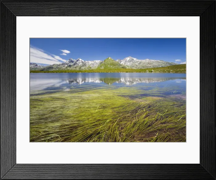 Framed Print : Spluga valley peaks reflected on Andossi lake with Sparganium plants Framed Print : Spluga valley peaks reflected on Andossi lake with Sparganium plants