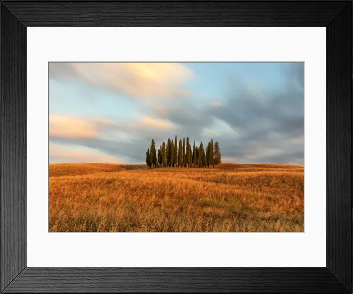 Framed Print : Iconic Cypresses of San Quirico d Orcia, Siena province, Tuscany, Italy Framed Print : Iconic Cypresses of San Quirico d Orcia, Siena province, Tuscany, Italy