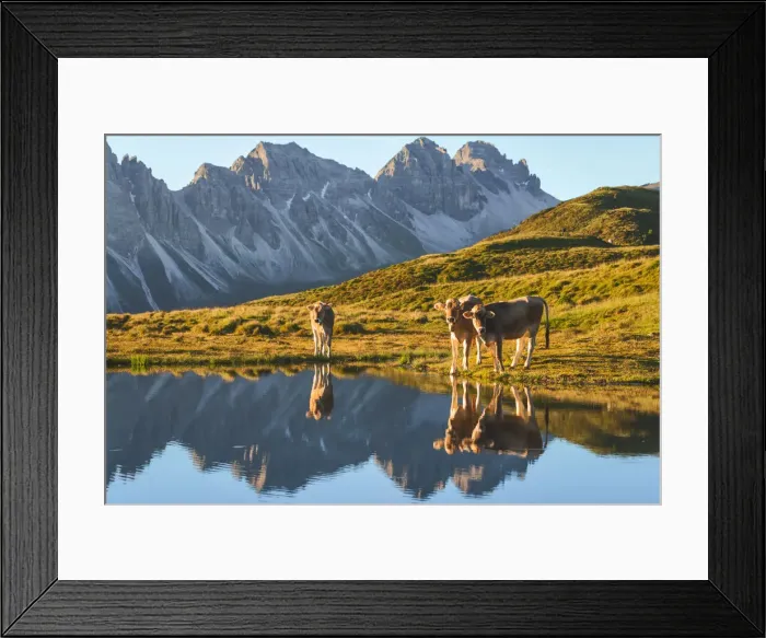 Framed Print : Salfeins Lake, Grinzens, Innsbruck Land, Tyrol, Austria Framed Print : Salfeins Lake, Grinzens, Innsbruck Land, Tyrol, Austria