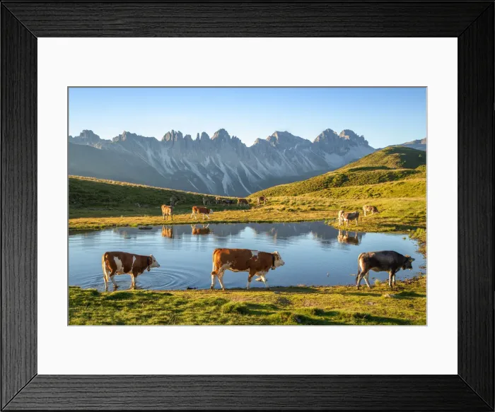 Framed Print : Salfeins Lake, Grinzens, Innsbruck Land, Tyrol, Austria