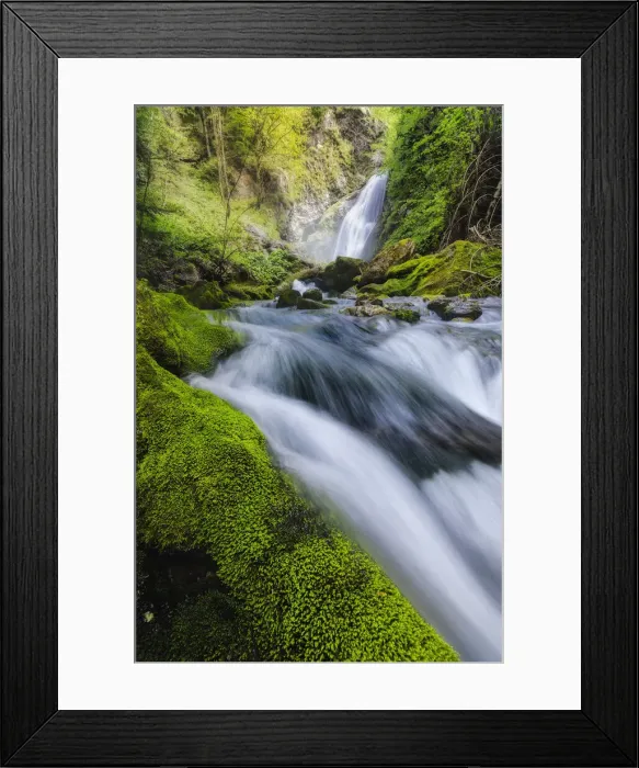 Framed Print : Gias Fontana waterfall and moss in Pesio Valley, Chiusa Pesio, Piedmont, Italy Framed Print : Gias Fontana waterfall and moss in Pesio Valley, Chiusa Pesio, Piedmont, Italy