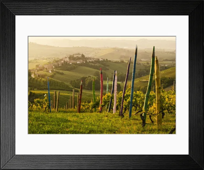 Framed Print : Coazzolo from the colorful pastels vineyard vigna dei pastelli, piedmont, italy Framed Print : Coazzolo from the colorful pastels vineyard vigna dei pastelli, piedmont, italy