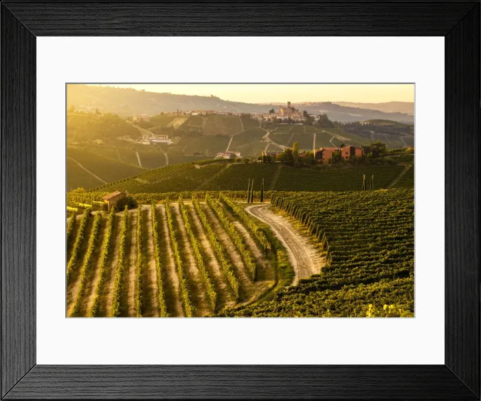 Framed Print : Castle on the hill following a dirt path, Castiglione Falletto, Piedmont, Italy Framed Print : Castle on the hill following a dirt path, Castiglione Falletto, Piedmont, Italy