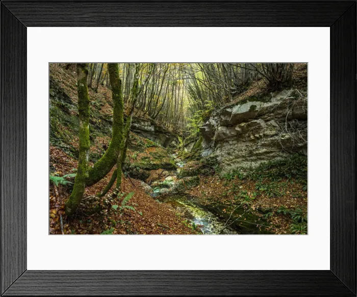 Framed Print : Europe, Italy, Abruzzo region. Lush autumn in the Orfento Valley nature reserve Framed Print : Europe, Italy, Abruzzo region. Lush autumn in the Orfento Valley nature reserve