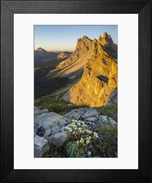 Framed Print : at sunset at Seceda, Gruppo delle Odle, Dolomiti di Gardena, Bolzano, Trentino Alto Adige Framed Print : at sunset at Seceda, Gruppo delle Odle, Dolomiti di Gardena, Bolzano, Trentino Alto Adige