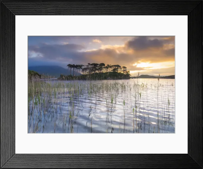 Framed Print : Pine Island on the Derryclare Lough lake at sunrise. Pine Island, Connemara National Park
