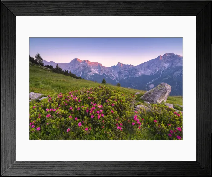 Framed Print : Summer season in Orobie alps, Zulino pass in Lombardy district, Bergamo province, Italy Framed Print : Summer season in Orobie alps, Zulino pass in Lombardy district, Bergamo province, Italy