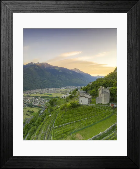 Framed Print : Panoramic of Rhaetian Costiera Dei Cech from vineyards to mountains, Valtellina Framed Print : Panoramic of Rhaetian Costiera Dei Cech from vineyards to mountains, Valtellina