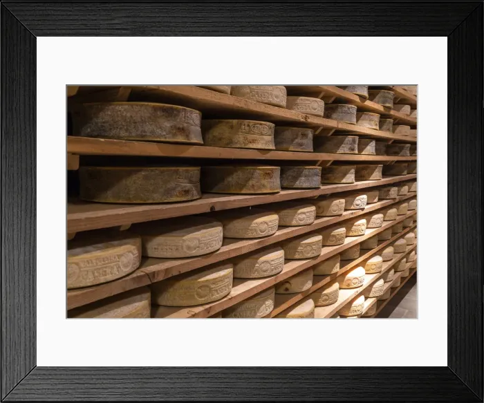 Framed Print : Seasoning of Bitto and Casera cheese wheels on wood shelves, Valtellina, Sondrio province Framed Print : Seasoning of Bitto and Casera cheese wheels on wood shelves, Valtellina, Sondrio province