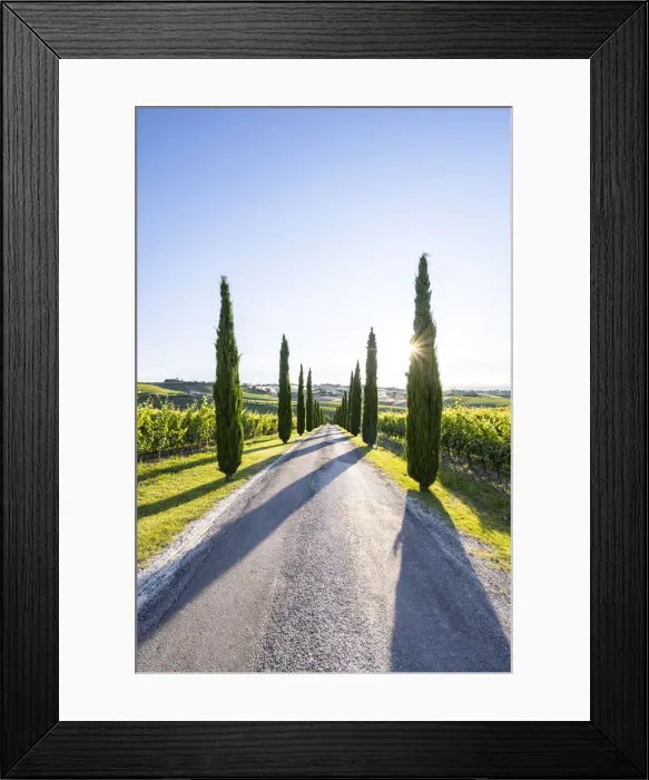 Framed Print : Italy, Marche. Macerata district. Urbisglia. Typical Marche landscape near Urbisaglia Framed Print : Italy, Marche. Macerata district. Urbisglia. Typical Marche landscape near Urbisaglia