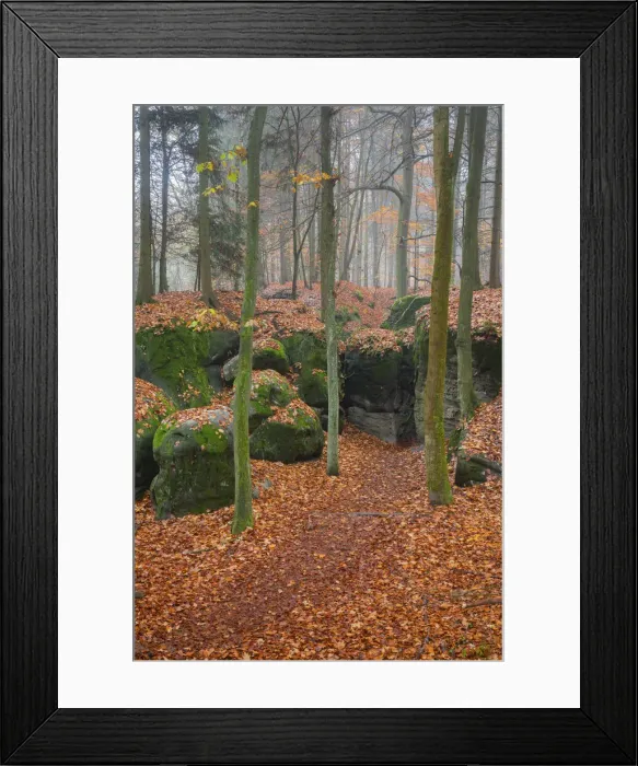 Framed Print : Adamovo loze rock formation in autumn, Hruba Skala, Semily District, Liberec Region, Bohemia, Czech Republic Framed Print : Adamovo loze rock formation in autumn, Hruba Skala, Semily District, Liberec Region, Bohemia, Czech Republic