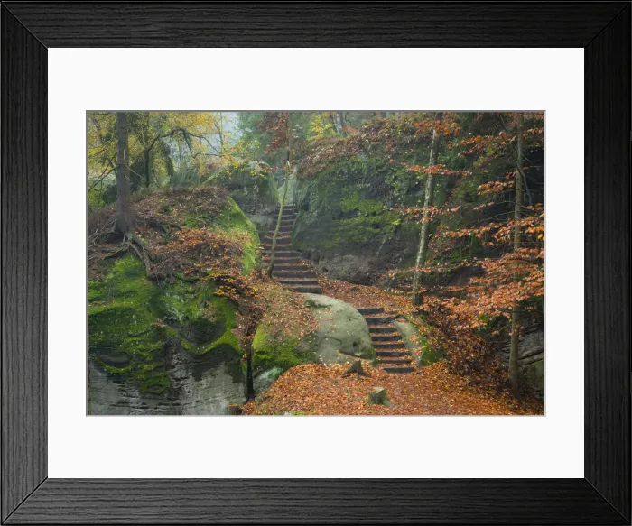 Framed Print : Stairs on a hiking trail in the forest in autumn, Hruba Skala, Semily District, Liberec Region, Bohemia, Czech Republic