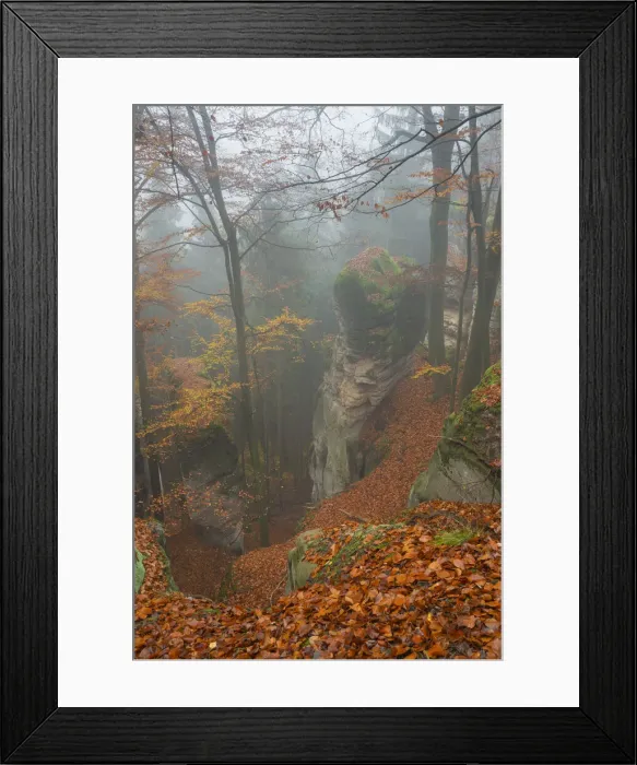 Framed Print : Sandstone rock formations rising from a gorge inside a forest in autumn, Hruba Skala