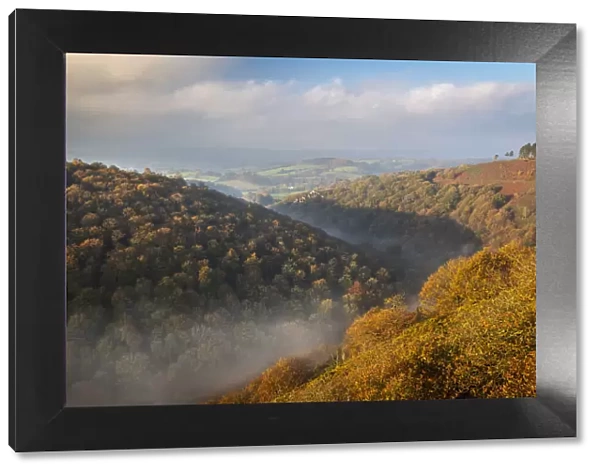 Autumn colours on a misty fall morning above the Teign Valley, Dartmoor, Devon, England