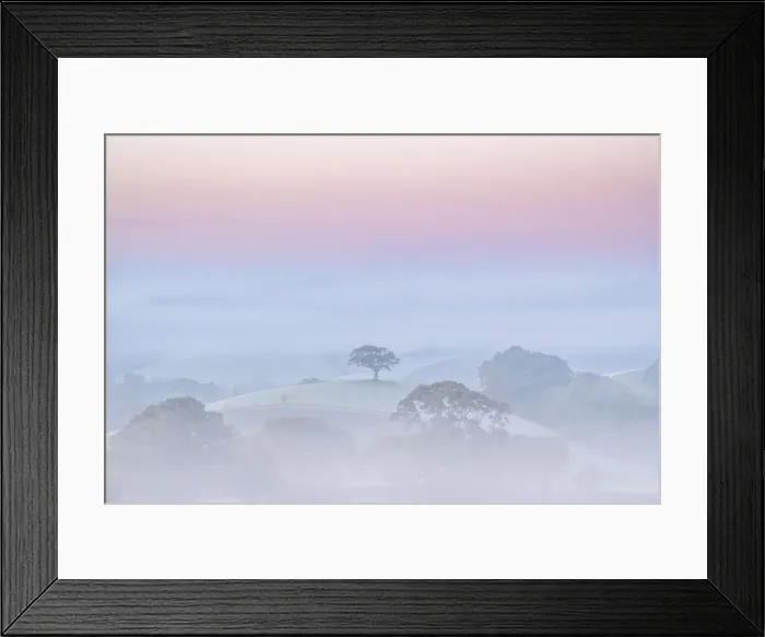 Framed Print : Hilltop tree at dawn on a misty morning, Devon, England. Autumn (November) 2020 Framed Print : Hilltop tree at dawn on a misty morning, Devon, England. Autumn (November) 2020