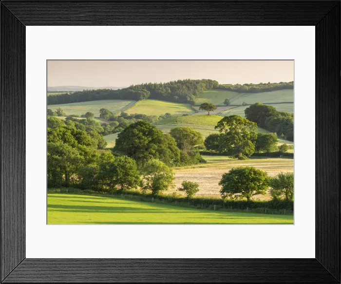 Framed Print : Rolling summer countryside near Crediton, Devon, England. Summer (June) 2020 Framed Print : Rolling summer countryside near Crediton, Devon, England. Summer (June) 2020