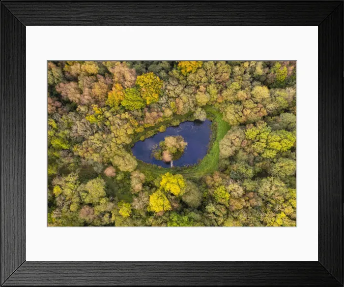 Framed Print : Aerial view of a pond and island in autumnal woodland, Devon, England Framed Print : Aerial view of a pond and island in autumnal woodland, Devon, England