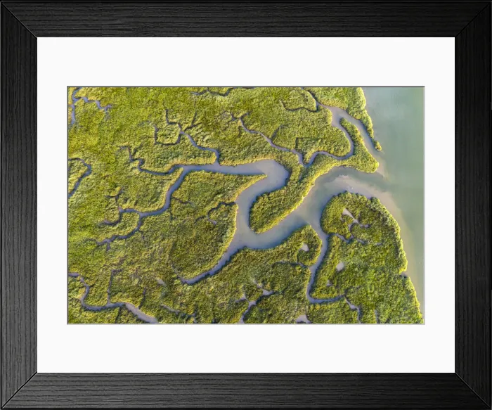 Framed Print : Aerial view of saltmarshes on the Camel Estuary near Wadebridge, Cornwall, England Framed Print : Aerial view of saltmarshes on the Camel Estuary near Wadebridge, Cornwall, England