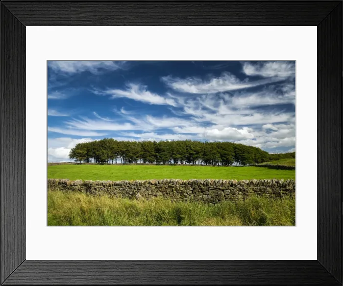 Framed Print : Line of Trees & Stone Wall, Peak District National Park, Derbyshire, England Framed Print : Line of Trees & Stone Wall, Peak District National Park, Derbyshire, England