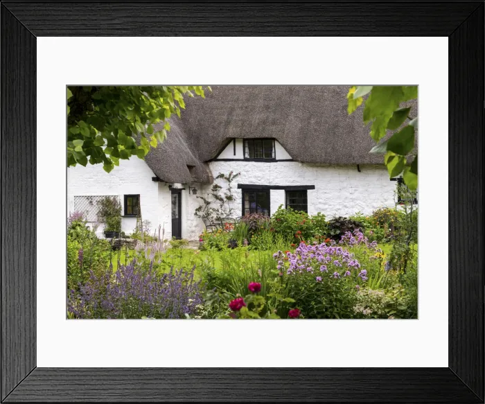 Framed Print : Thatched Cottage & Garden, Wiltshire, England Framed Print : Thatched Cottage & Garden, Wiltshire, England