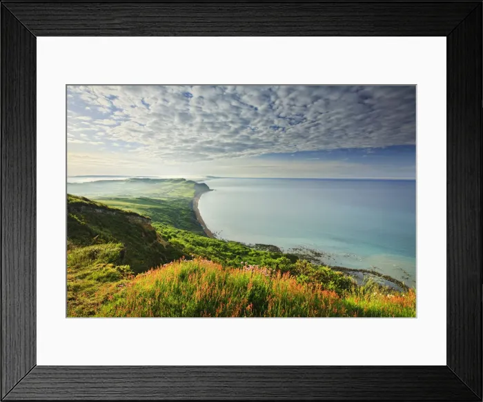 Framed Print : View from Golden Cap looking towards Seatown, Dorset, England Framed Print : View from Golden Cap looking towards Seatown, Dorset, England