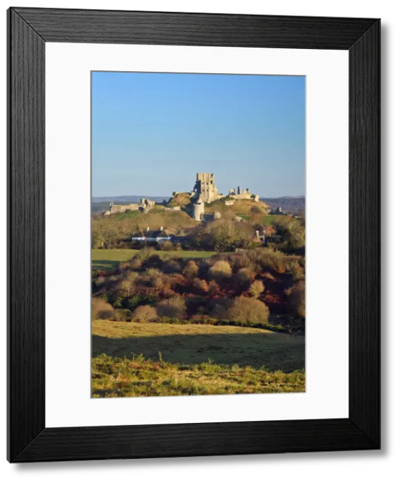 Framed Print : Corfe Castle from Corfe Common, Ise of Purbeck, Dorset, England