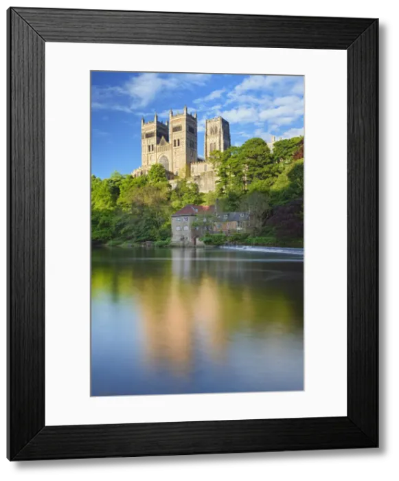 Framed Print : Durham Cathedral, UNESCO World Heritage Site, and the River Wear, Durham, County Durham