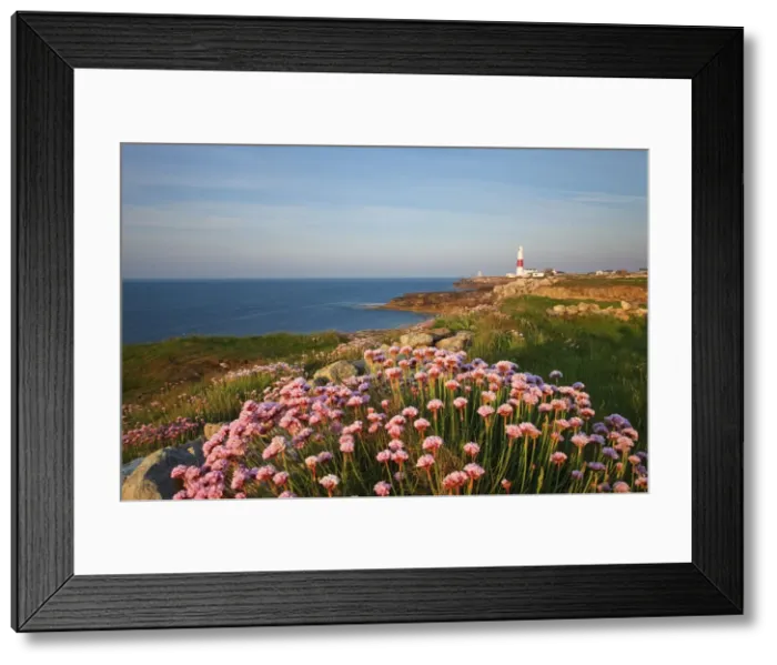 Framed Print : Portland Bill Lighthouse, Isle of Portland, Dorset, England Framed Print : Portland Bill Lighthouse, Isle of Portland, Dorset, England