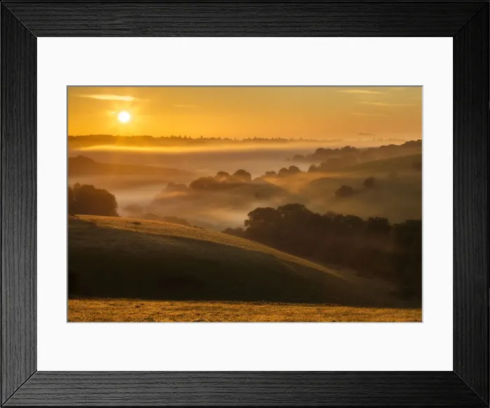 Framed Print : Woodley Down, Wiltshire, England Framed Print : Woodley Down, Wiltshire, England