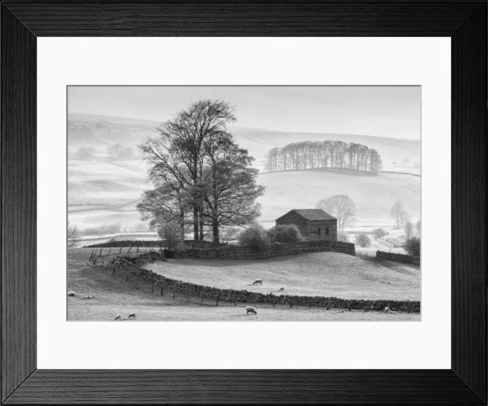 Framed Print : Stone barn near Hawes, Wensleydale, Yorkshire Dales National Park, England