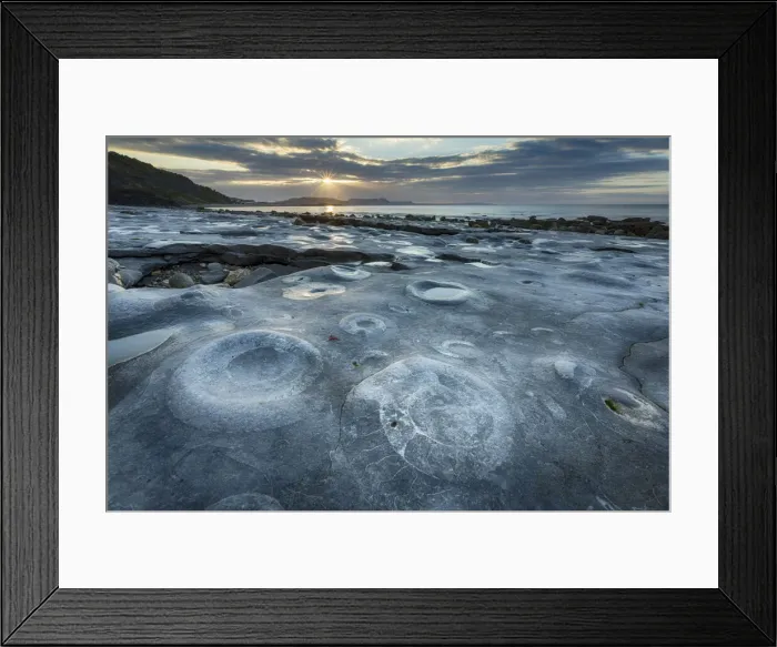 Framed Print : Ammonite Graveyard at sunrise, Monmouth Beach, Lyme Regis Framed Print : Ammonite Graveyard at sunrise, Monmouth Beach, Lyme Regis