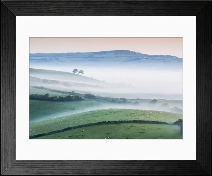 Framed Print : Misty morning over the marsh wood Vale, Dorset, England Framed Print : Misty morning over the marsh wood Vale, Dorset, England