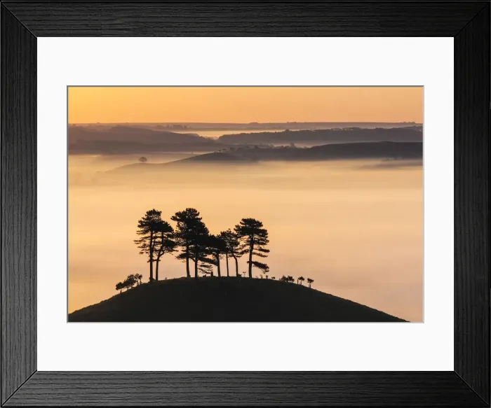 Framed Print : Misty morning view of Colmers Hill, Dorset, England, UK Framed Print : Misty morning view of Colmers Hill, Dorset, England, UK