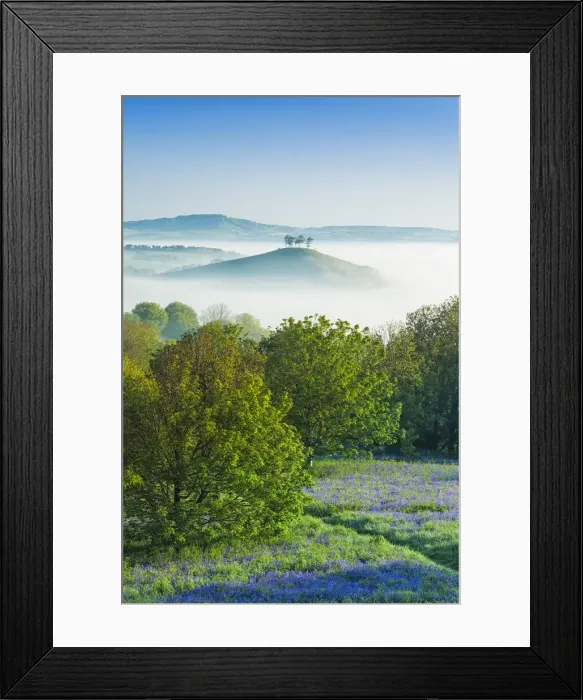 Framed Print : Misty morning view of Colmers Hill, Dorset, England, UK Framed Print : Misty morning view of Colmers Hill, Dorset, England, UK