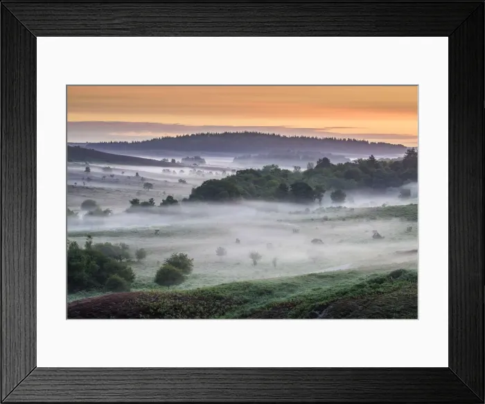 Framed Print : Sunrise from Rockford Common, New Forest National Park, hampshire, England, UK