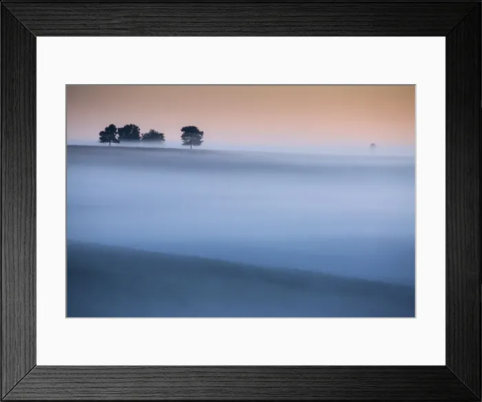 Framed Print : Mist over heathland in the New Forest National Park, Hampshire, England, UK Framed Print : Mist over heathland in the New Forest National Park, Hampshire, England, UK