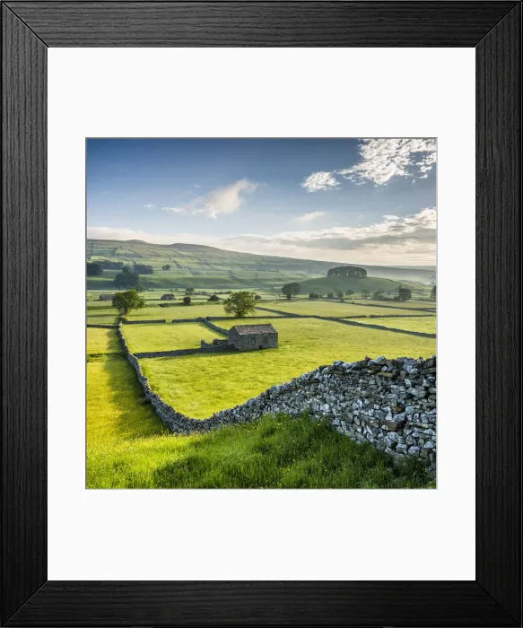 Framed Print : Wensleydale, Yorkshire Dales National Park, North Yorkshire, England, UK Framed Print : Wensleydale, Yorkshire Dales National Park, North Yorkshire, England, UK