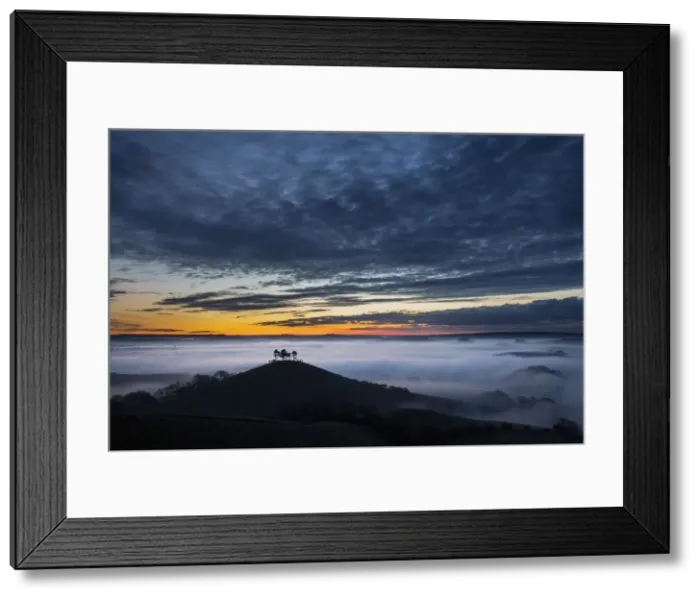Framed Print : Colmers Hill, Bridport, Dorset, England, UK Framed Print : Colmers Hill, Bridport, Dorset, England, UK