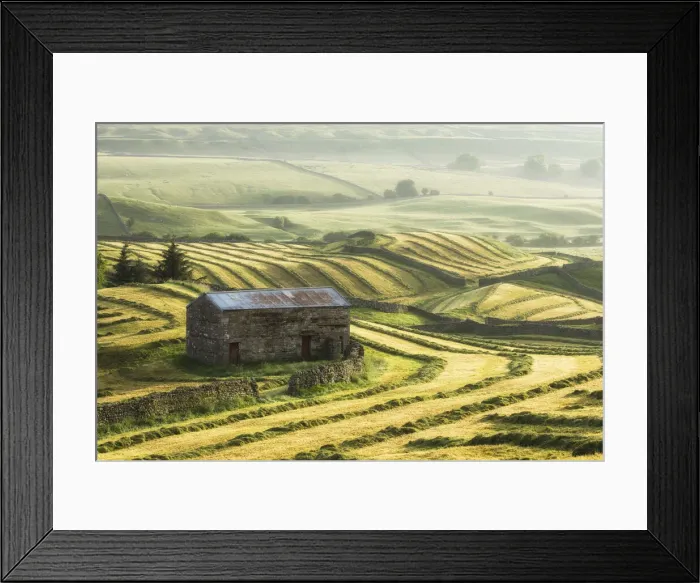 Framed Print : Hay cutting in Wensleydale, Yorkshire Dales National Park, England, UK Framed Print : Hay cutting in Wensleydale, Yorkshire Dales National Park, England, UK