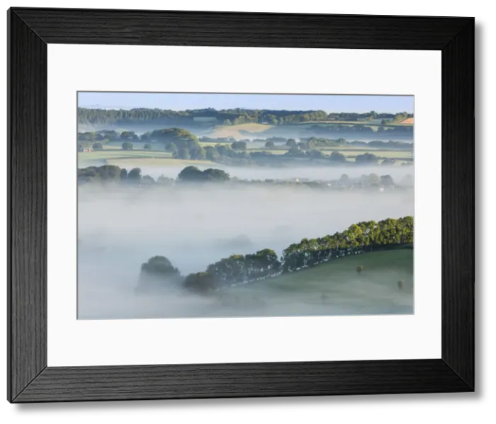 Framed Print : The Cranborne Chase from Charlton Down, Wiltshire, England Framed Print : The Cranborne Chase from Charlton Down, Wiltshire, England