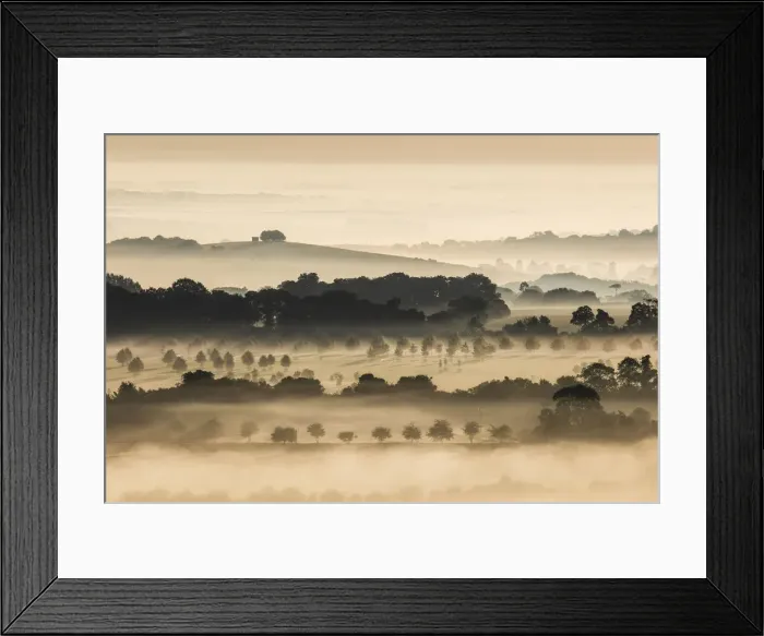 Framed Print : The Cranborne Chase from Charlton Down, Wiltshire, England Framed Print : The Cranborne Chase from Charlton Down, Wiltshire, England